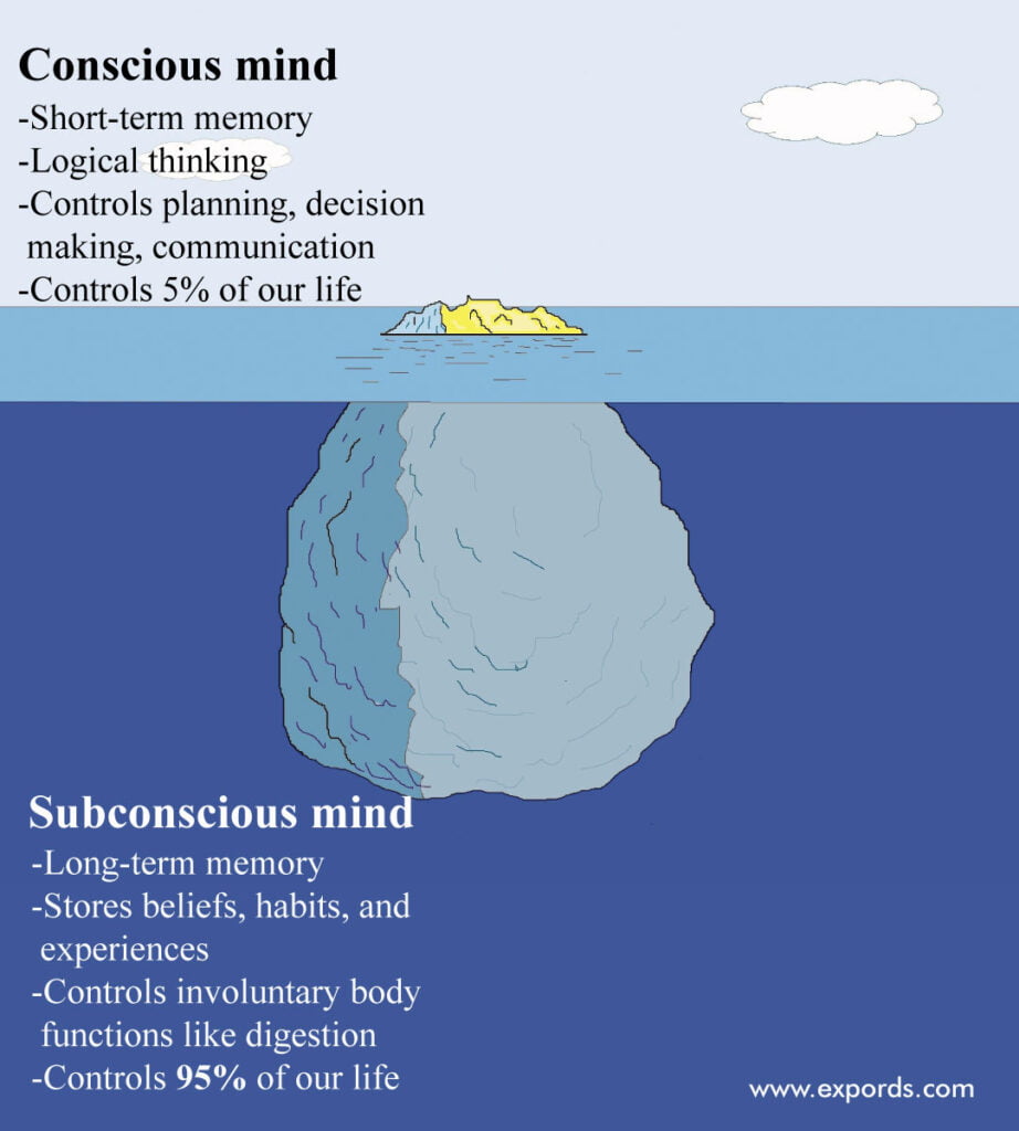 The subconscious mind vs the conscious mind